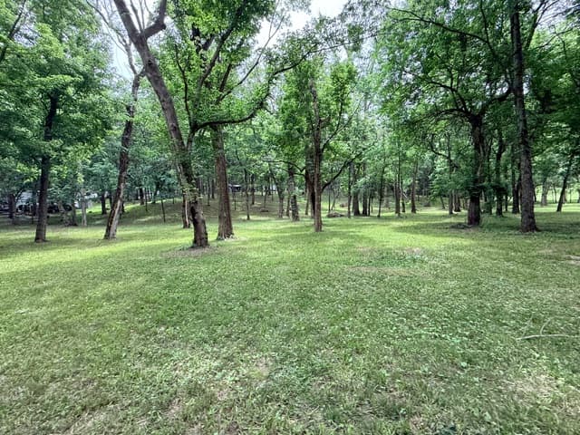 Around the campground