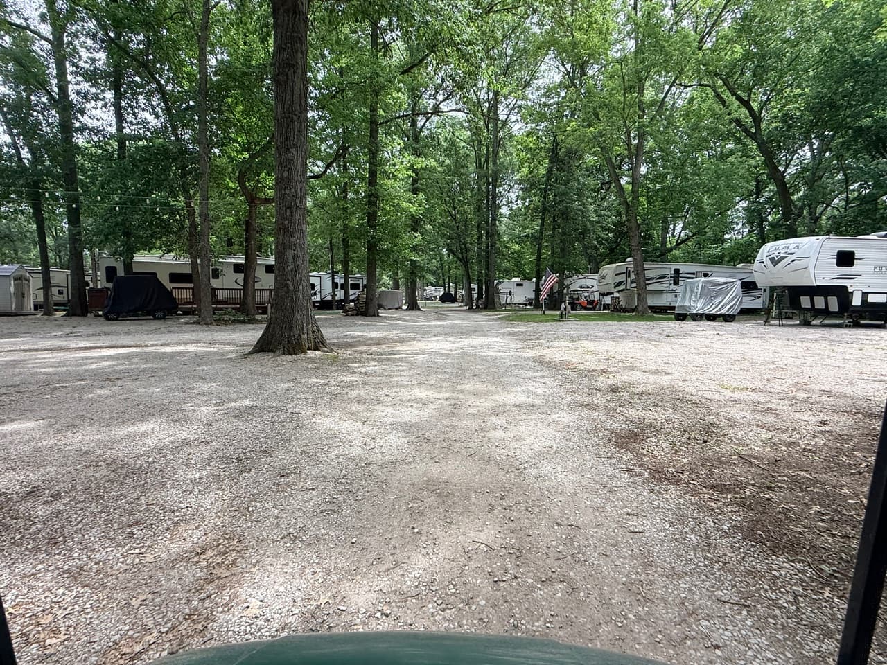 Under the oaks