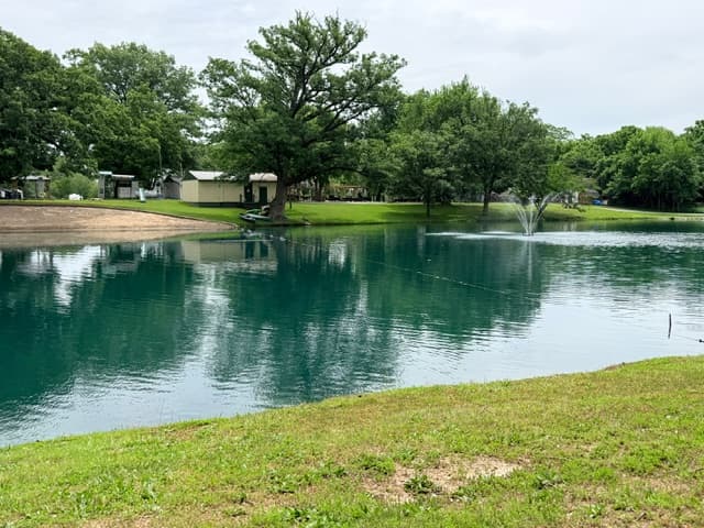 Life around Bur Oaks